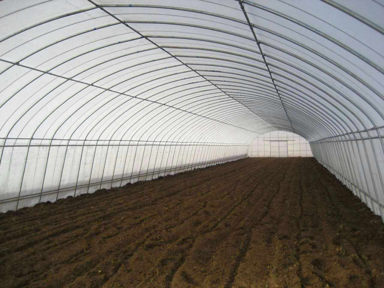 农业大棚管大多以塑膜为屋面材料